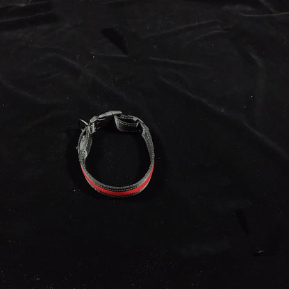 USB Charging Telescopic And Portable Pet Collar Suit