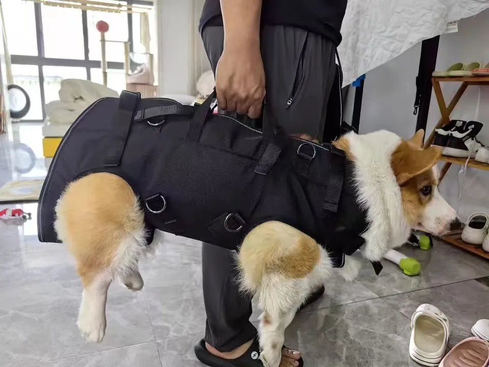 Pet Travel Backpack(3 sizes) Shoulder Carrier Outdoor Hiking Walking Durable Comfortable Oxford Fabric Dog/Cat Carrier