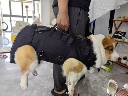 Pet Travel Backpack(3 sizes) Shoulder Carrier Outdoor Hiking Walking Durable Comfortable Oxford Fabric Dog/Cat Carrier