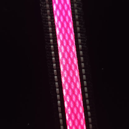 USB Charging Telescopic And Portable Pet Collar Suit